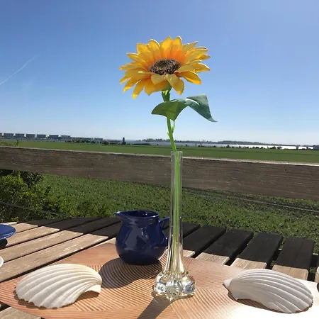 Fehmfelicita Mit See-Und Hafenblick 아파트 페마른